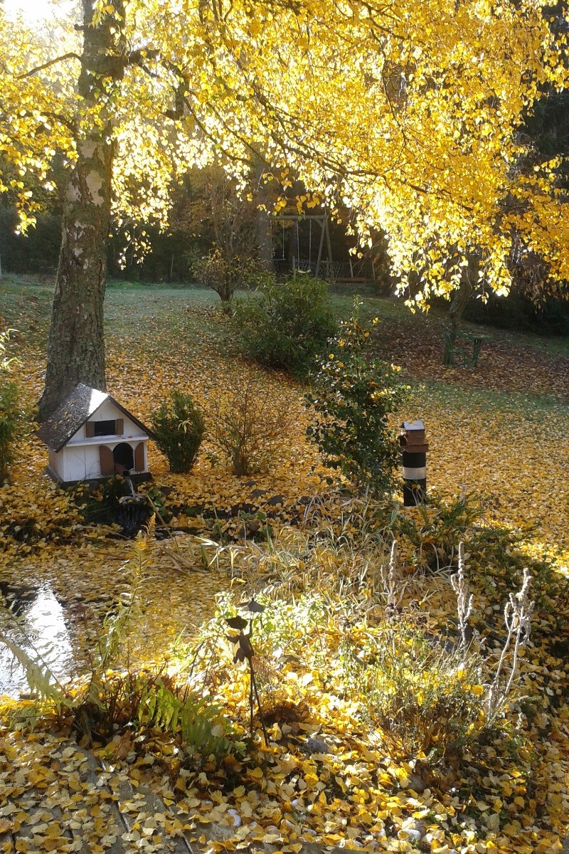 Photo n° 8 of the location