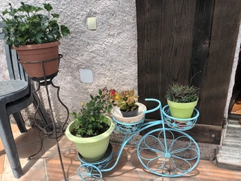 Photo n° 21 de la location