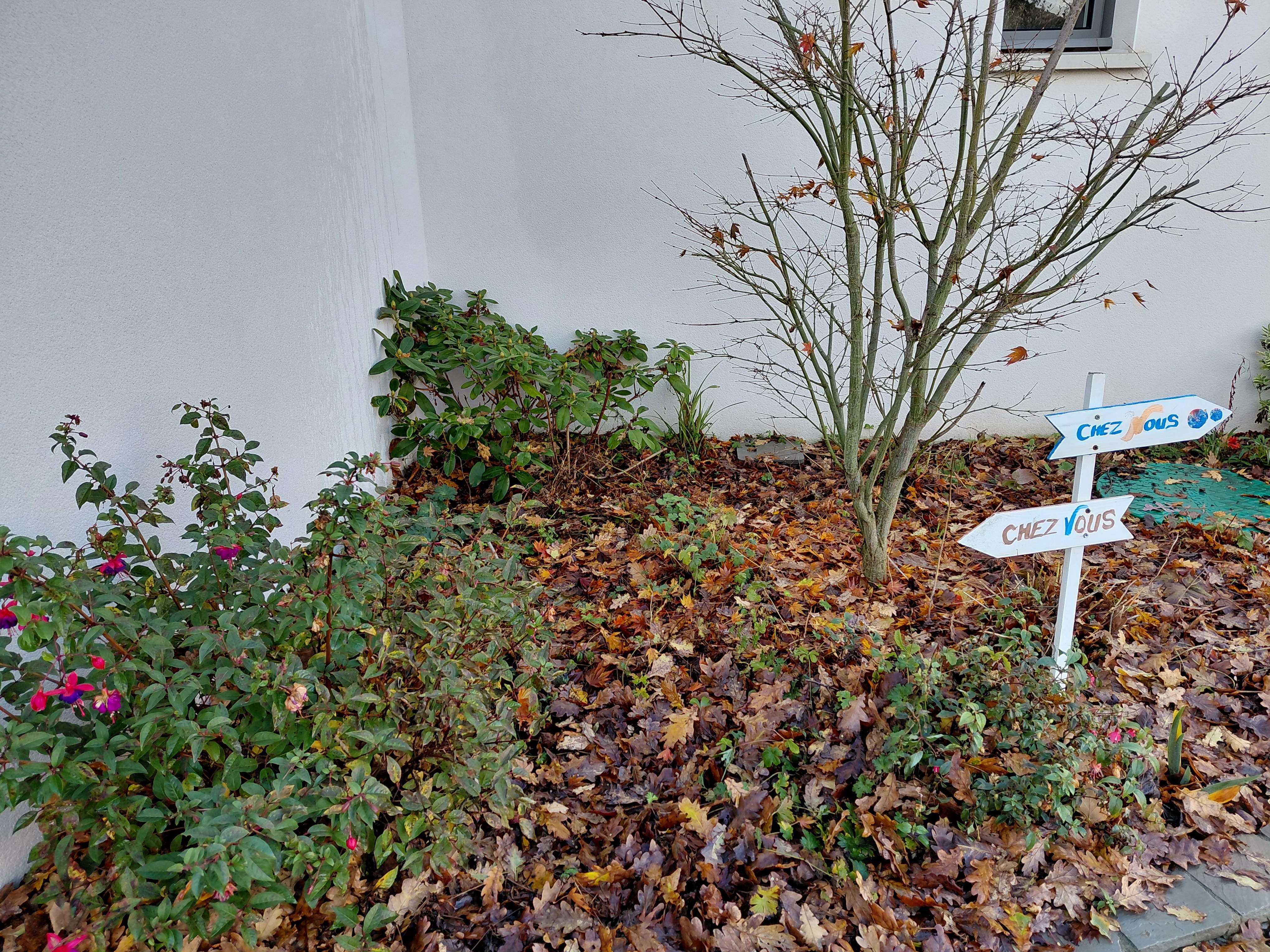 Photo n° 19 of the location