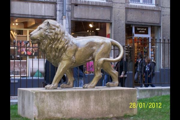 lion à LYON