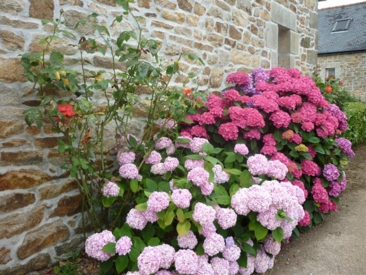 Photo n° 12 of the location