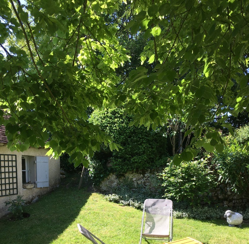 Un peu de repos dans le jardin