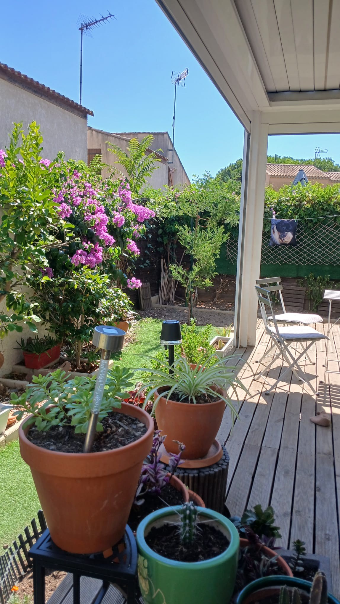 Photo n° 5 de la location
