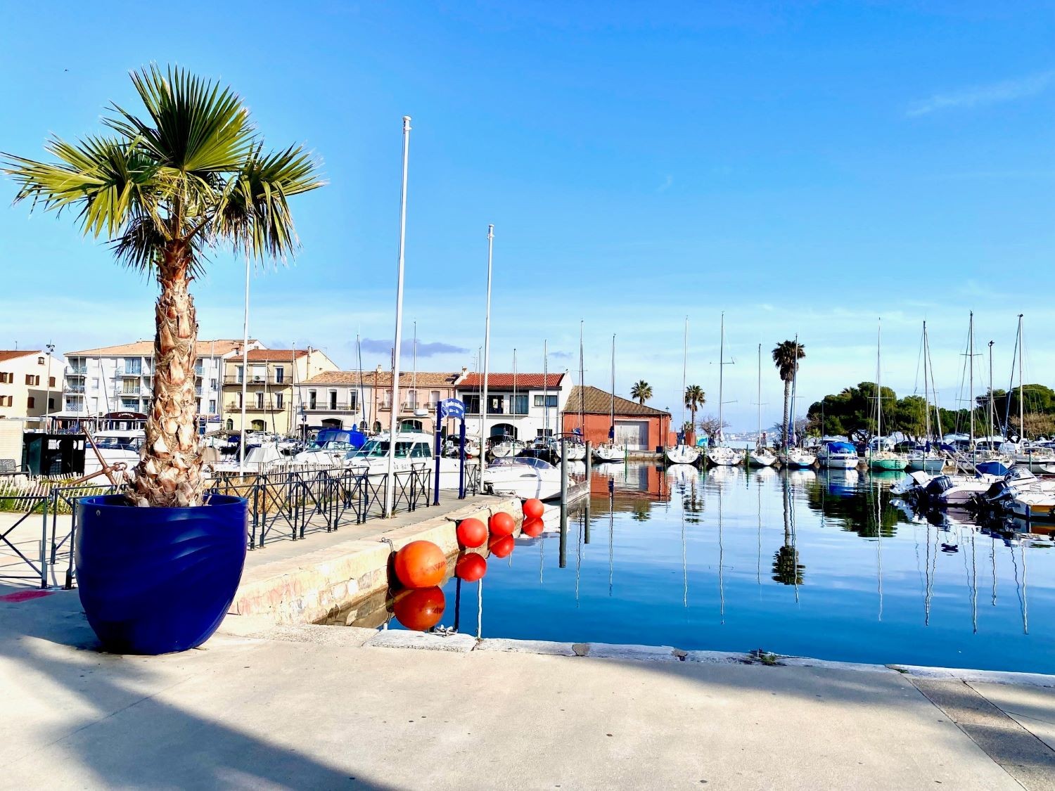 Photo n° 9 de la location