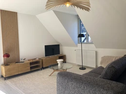 Salon lumineux et confortable, poêle à granules