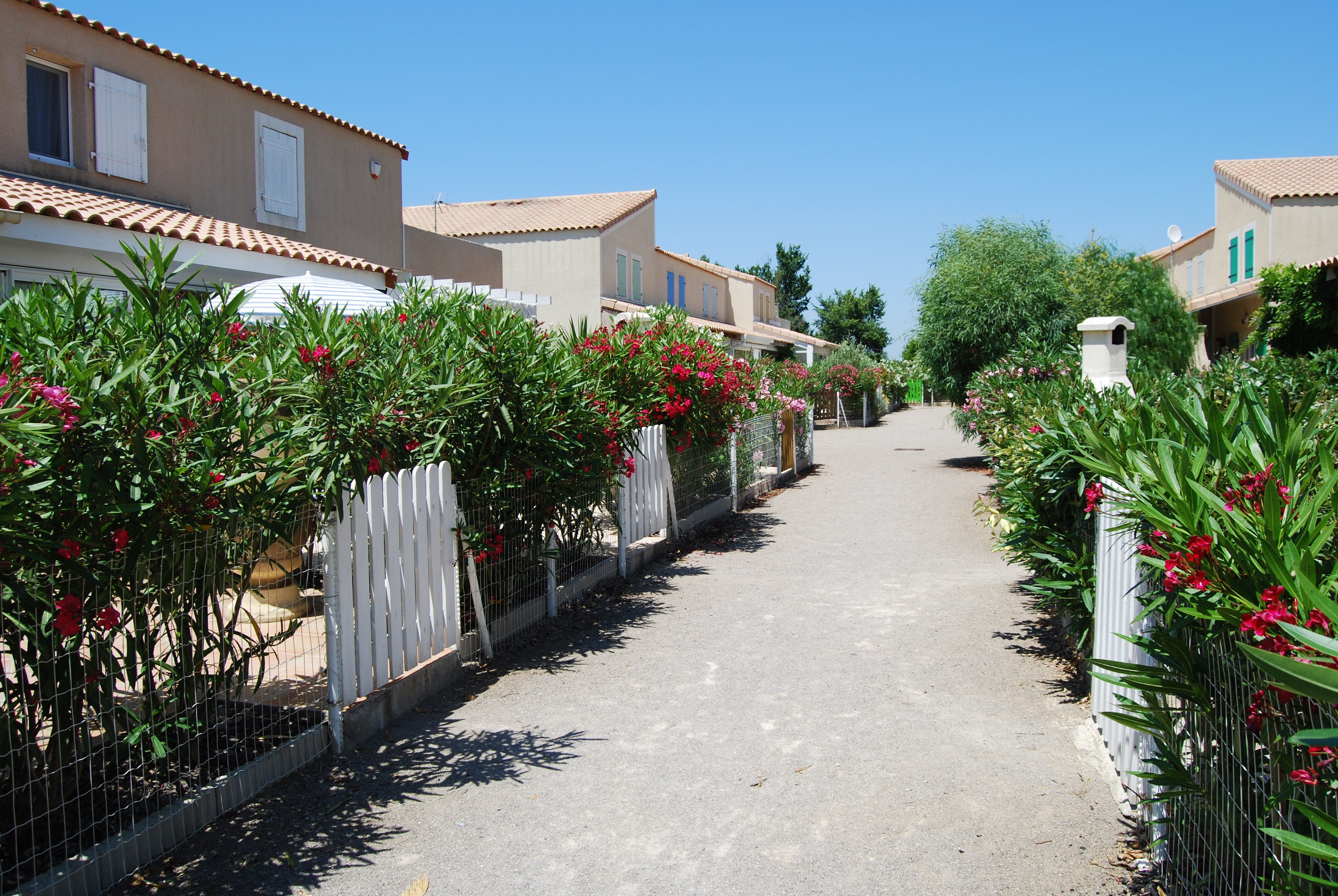 Image n° 2 de la location