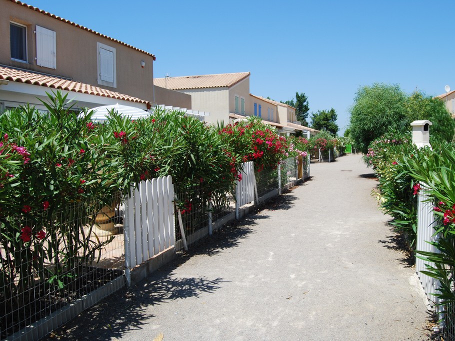 Photo n° 1 de la location