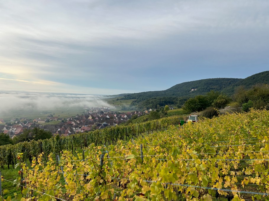 Photo n° 20 de la location