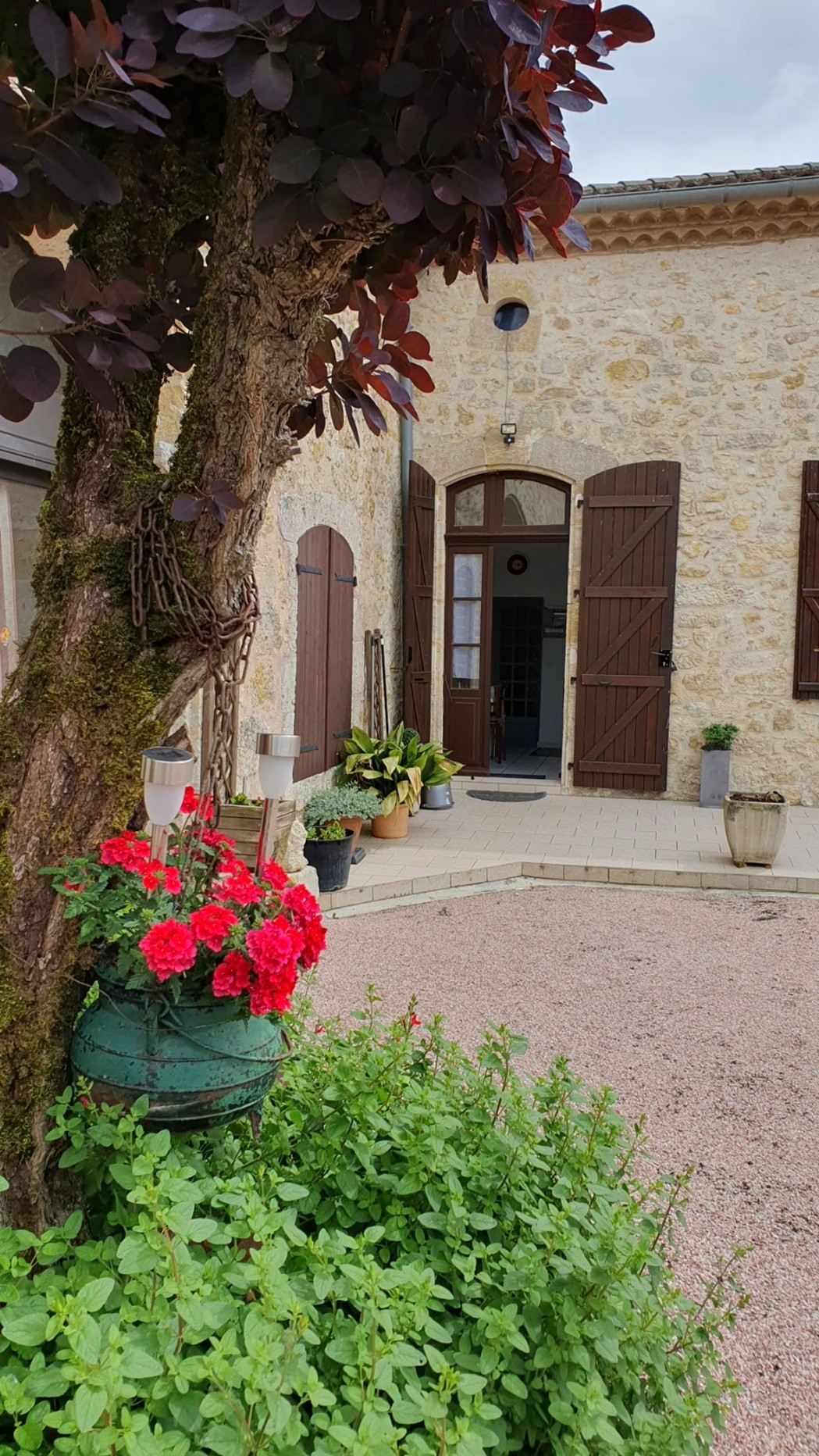 Image n° 2 de la location