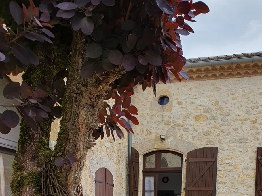 Photo n° 2 of the location