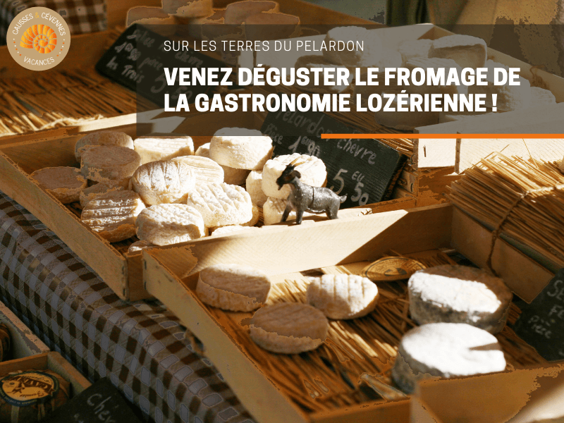 Photo n° 19 of the location