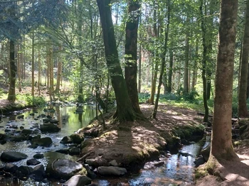Gîte Noé Container Maritime à Bains-les-Bains