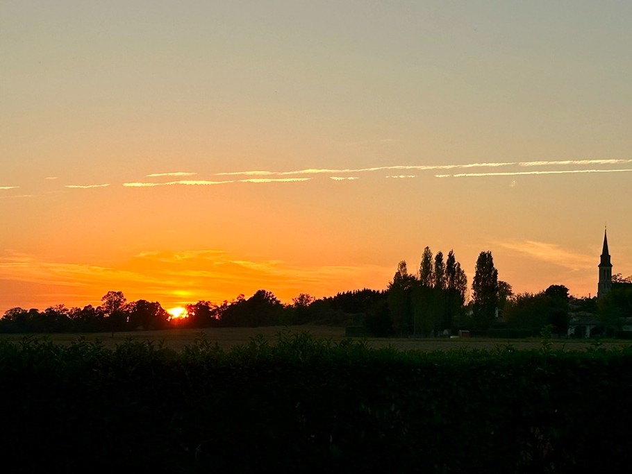 Photo n° 5 of the location