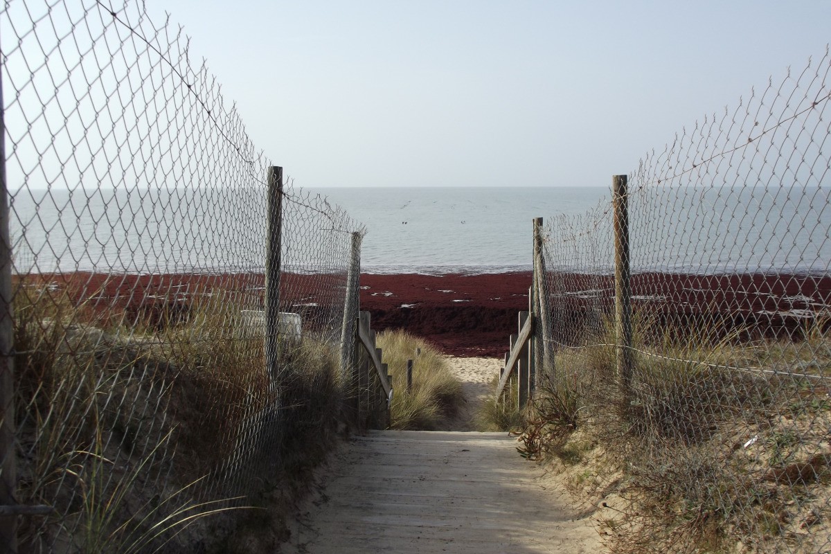 Accès à la plage des Sables d'Or