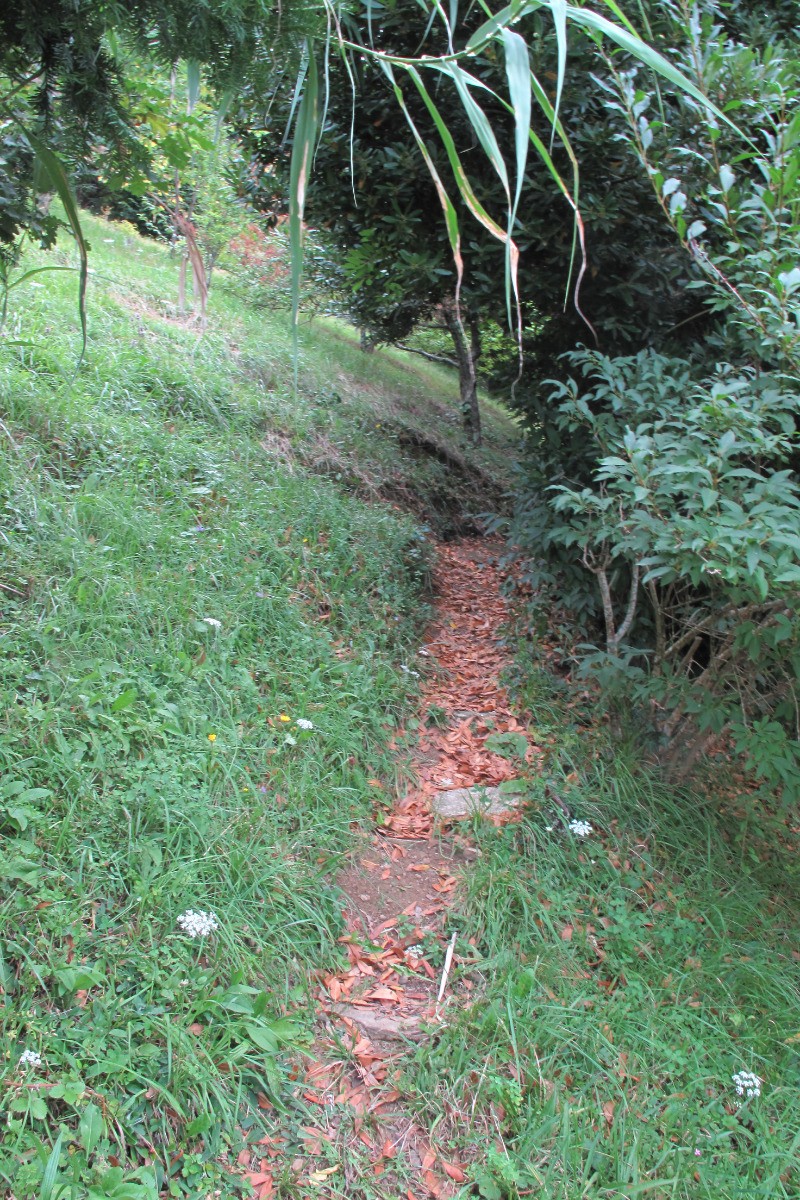 Vue Jardin - vers le haut