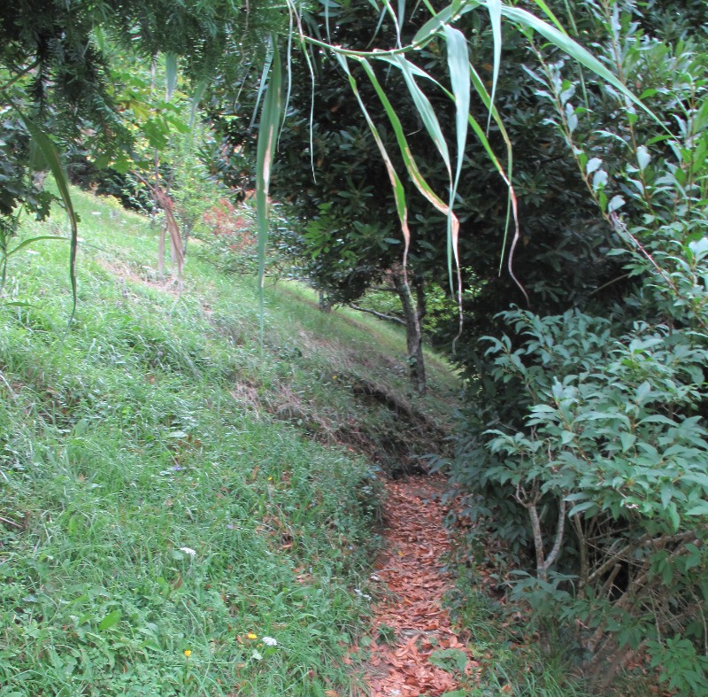 Vue Jardin - vers le haut