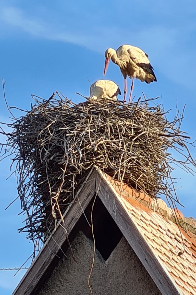 vue de l'appartement