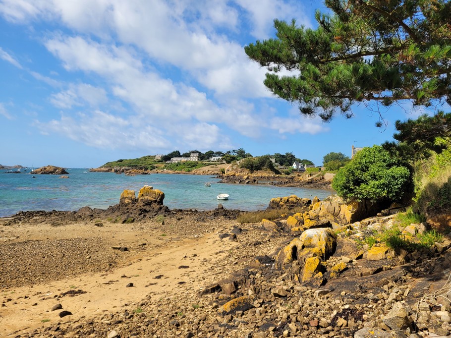 Photo n° 7 de la location