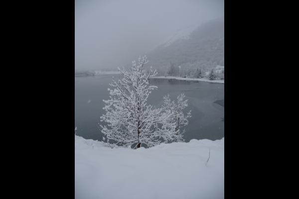 Photo n° 20 de la location