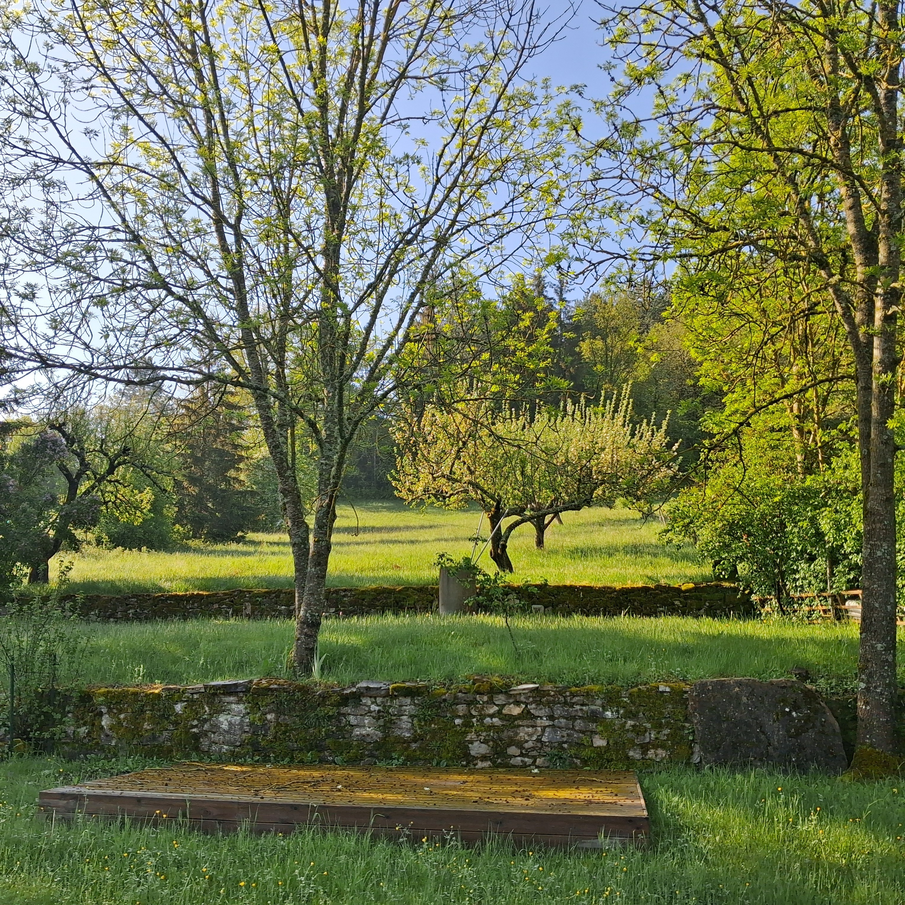Photo n° 18 of the location