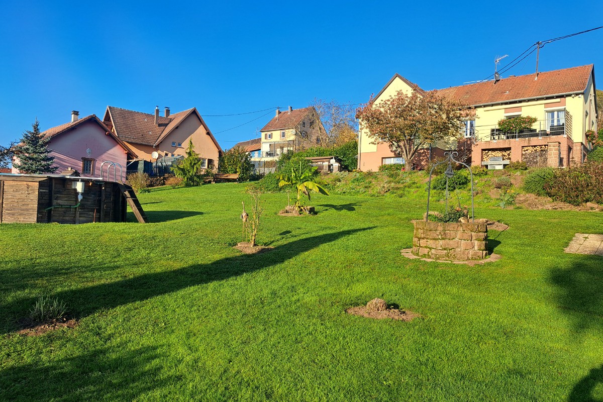 Le jardin