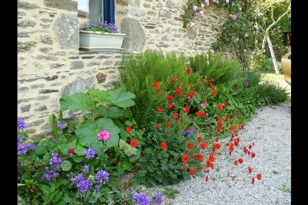 Photo n° 6 de la location