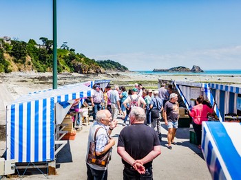 Le marché aux huîtres en direct producteurs, ouvert 7/7 j.
Crédits photo : CRTB L_oeil-de-Paco