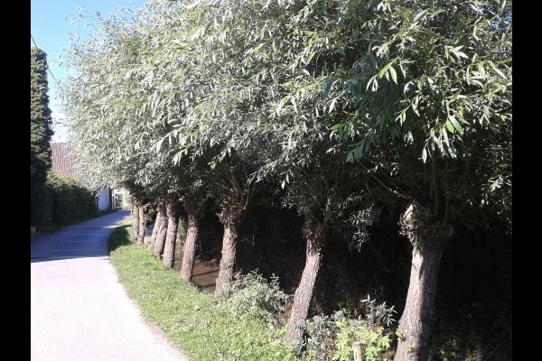 proximité de la maison