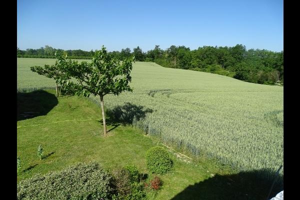 Photo n° 7 de la location