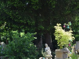 Image n° 5 de la location