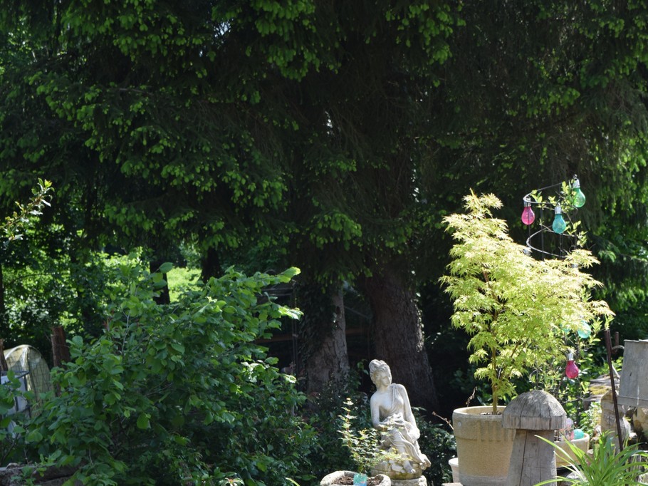 Photo n° 5 de la location