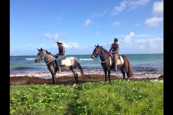 Les ranchs proches de la villa, proposent des ballades sur les plages du Sud