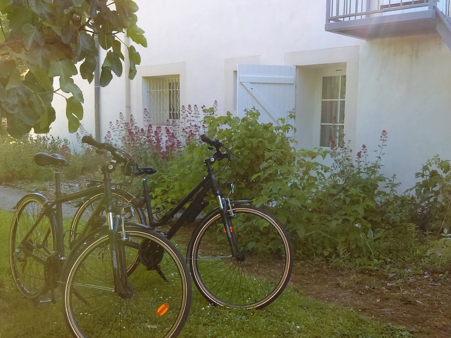 Vélos loués pour notre balade sur la voie verte