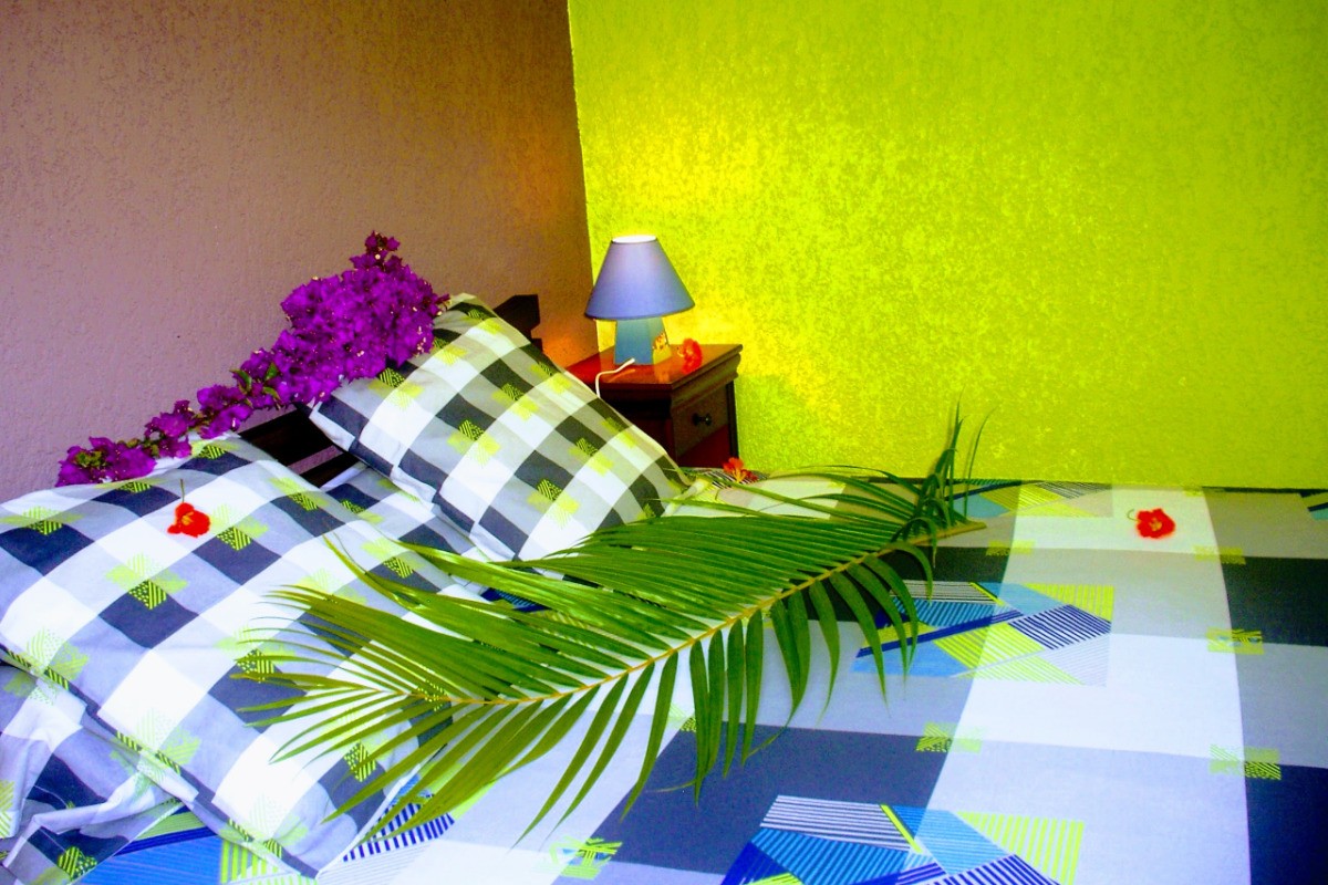 Photo n° 15 de la location