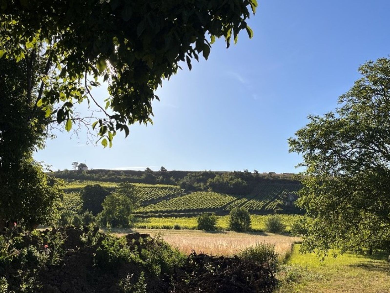 Photo n° 9 of the location
