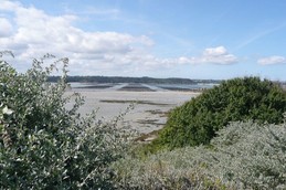 Location, Studio Loft, 2 personnes, Ploubalay, Beaussais sur Mer, Mme Blondeau