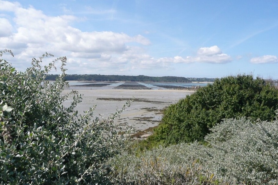 Location, Studio Loft, 2 personnes, Ploubalay, Beaussais sur Mer, Mme Blondeau