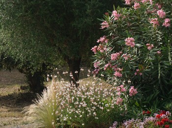 l'Albitru un Jardin paysager