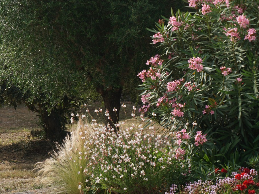 l'Albitru un Jardin paysager