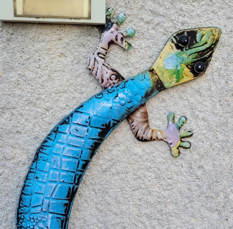 Photo n° 5 of the location