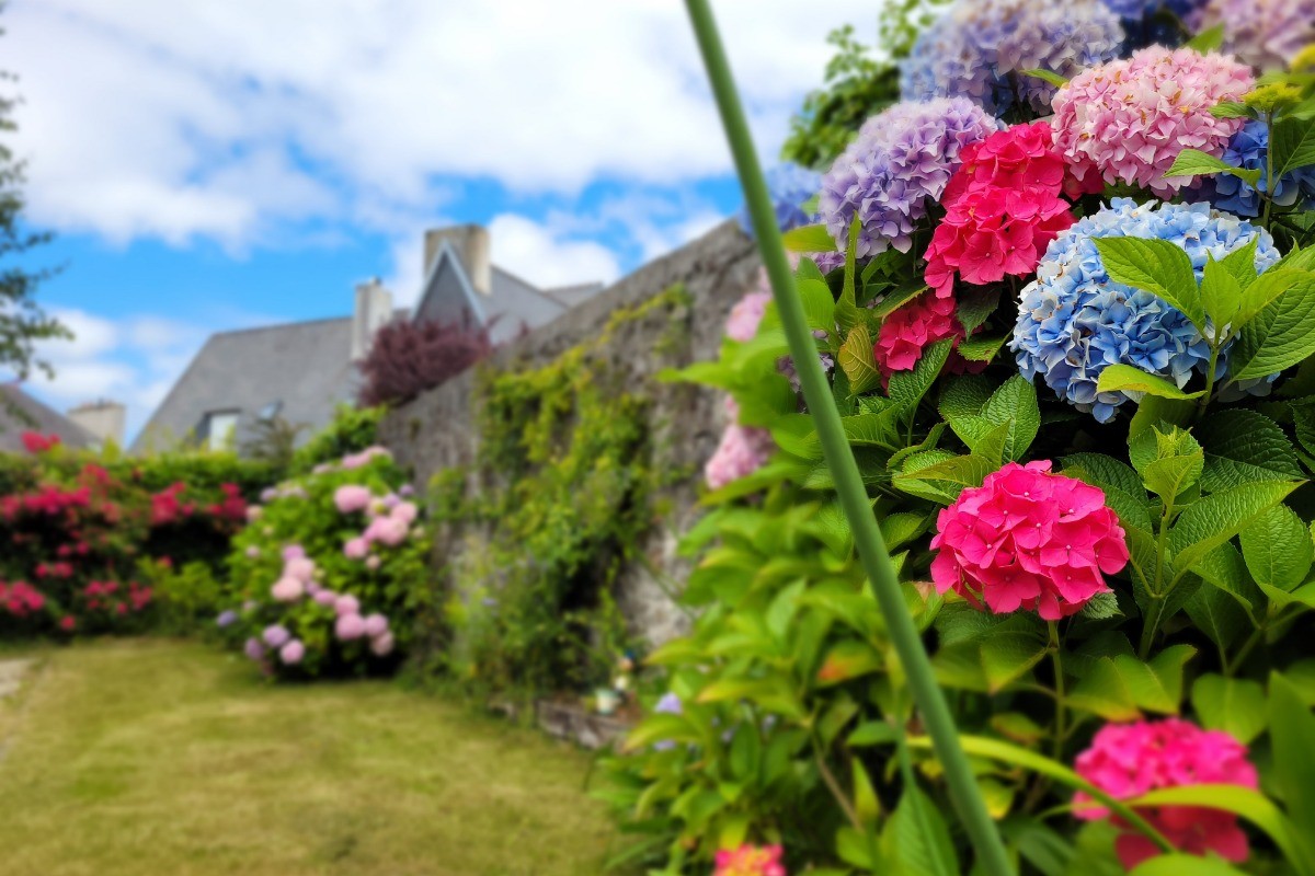 Photo n° 15 de la location