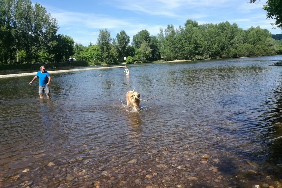 baignade dans la Dordogne, à Roufillac