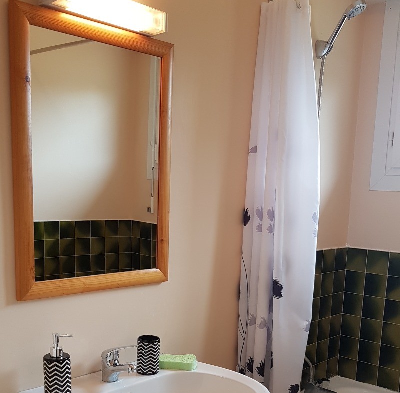 La salle de bains du RDC