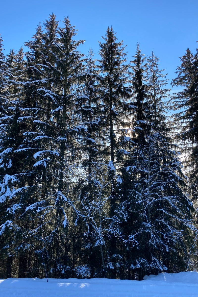 Photo n° 8 de la location