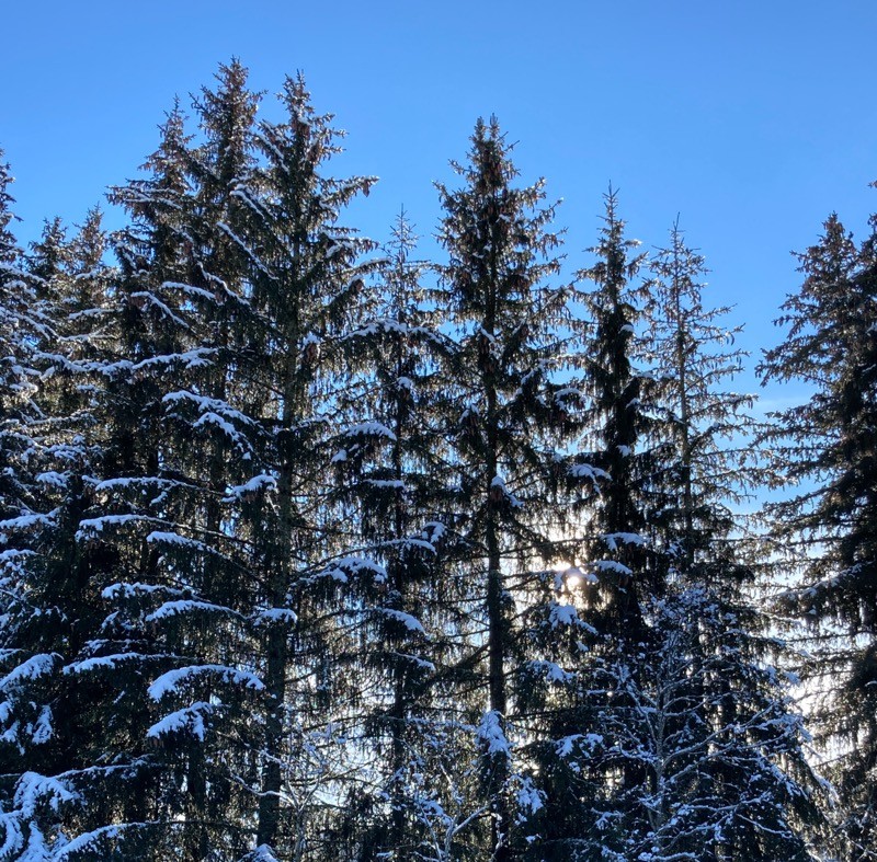 Photo n° 8 de la location