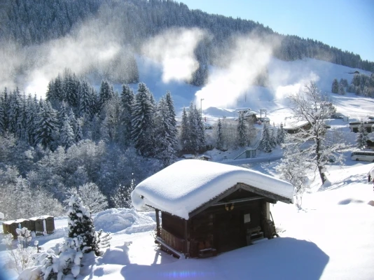 Vue de la terrasse de l'appartement - canons à neige