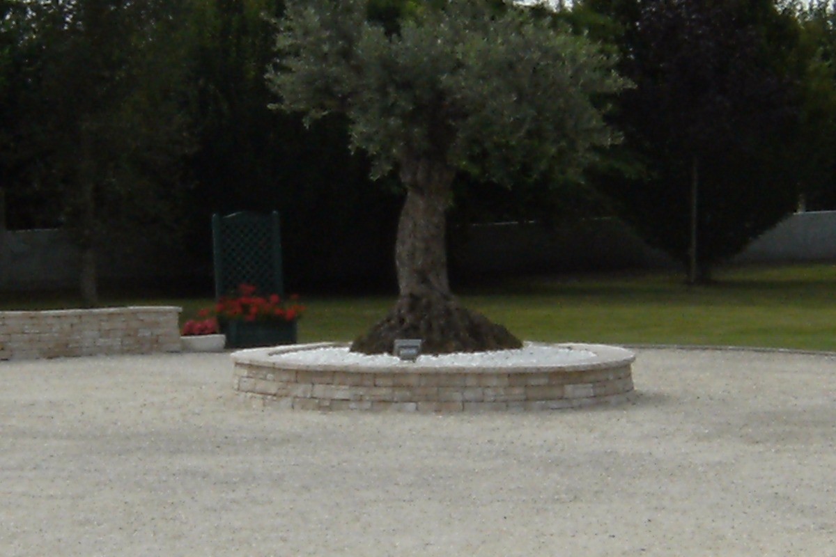 Photo n° 17 de la location