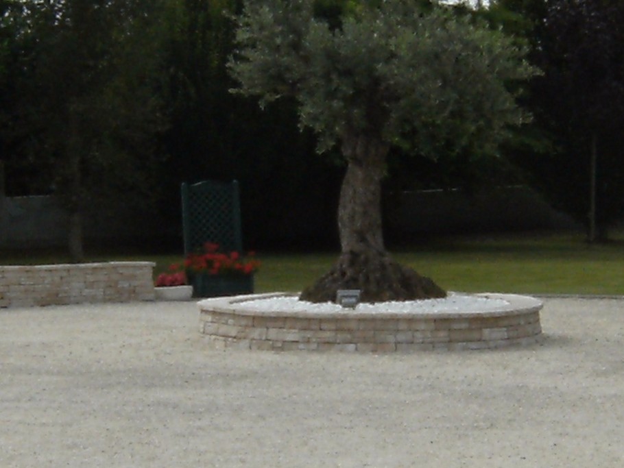 Photo n° 17 of the location
