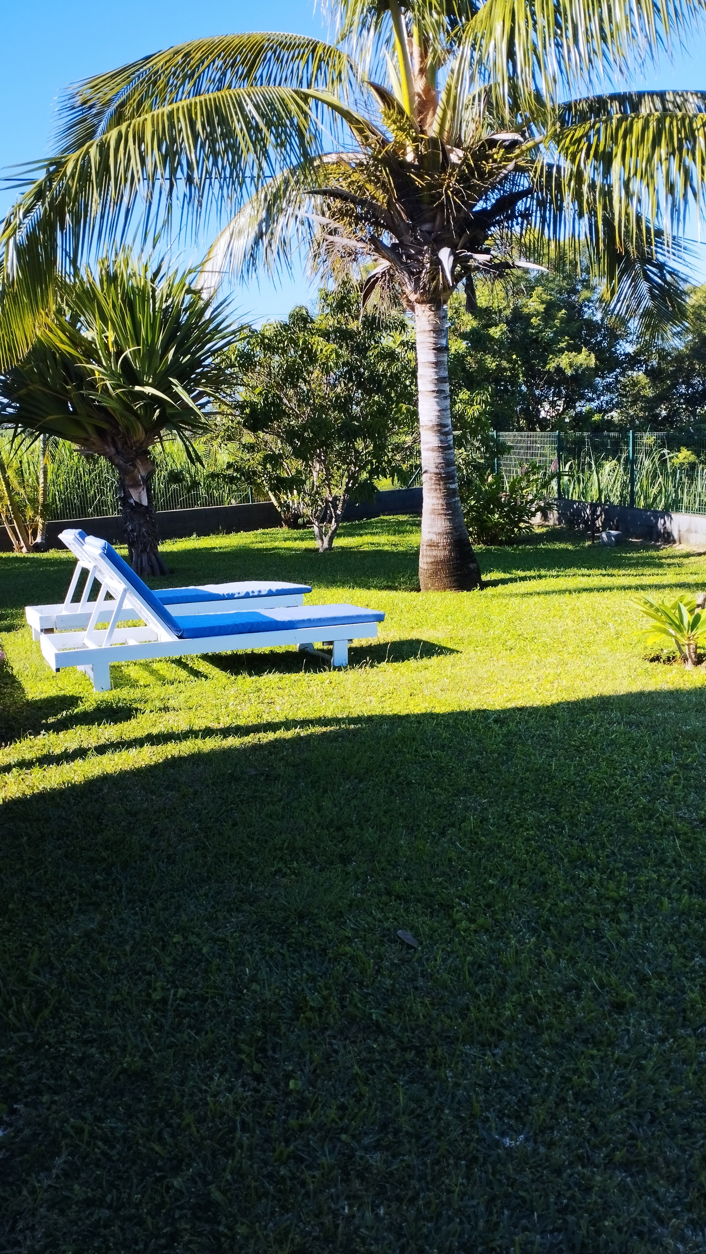 Photo n° 6 of the location