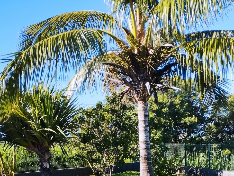 Photo n° 6 of the location